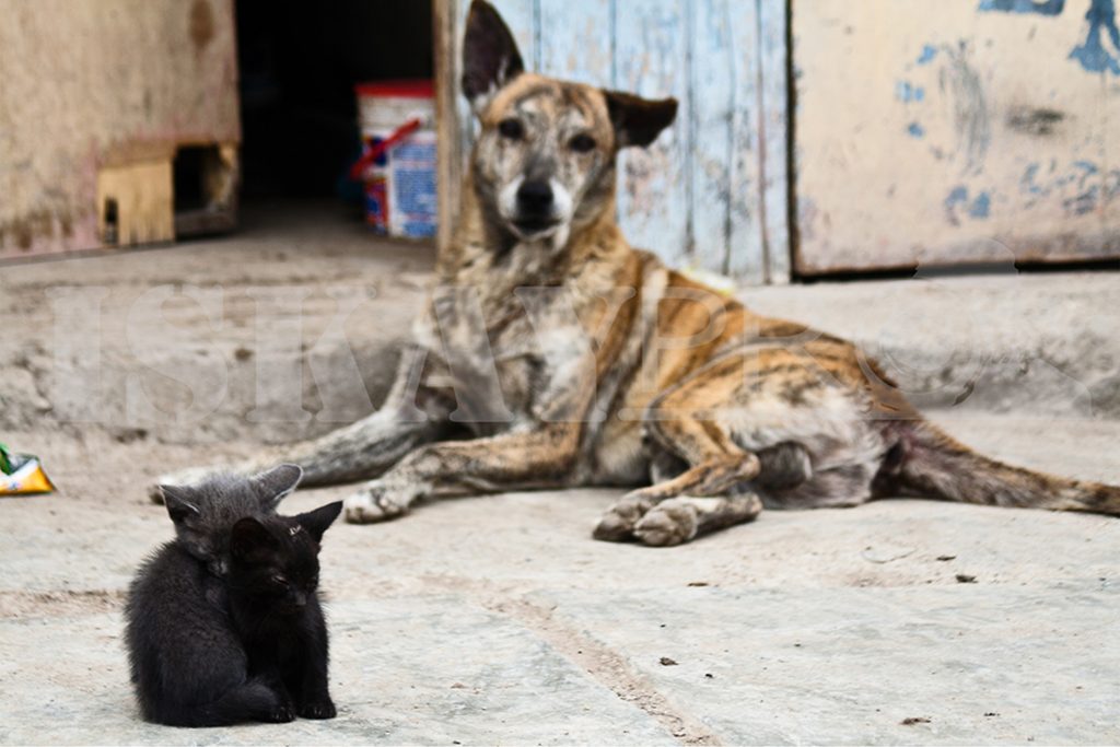 LA CIUDAD QUE NO VES 10 LA CIUDAD QUE NO VES 10