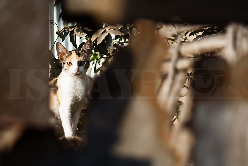 LA CIUDAD QUE NO VES 15 LA CIUDAD QUE NO VES 15
