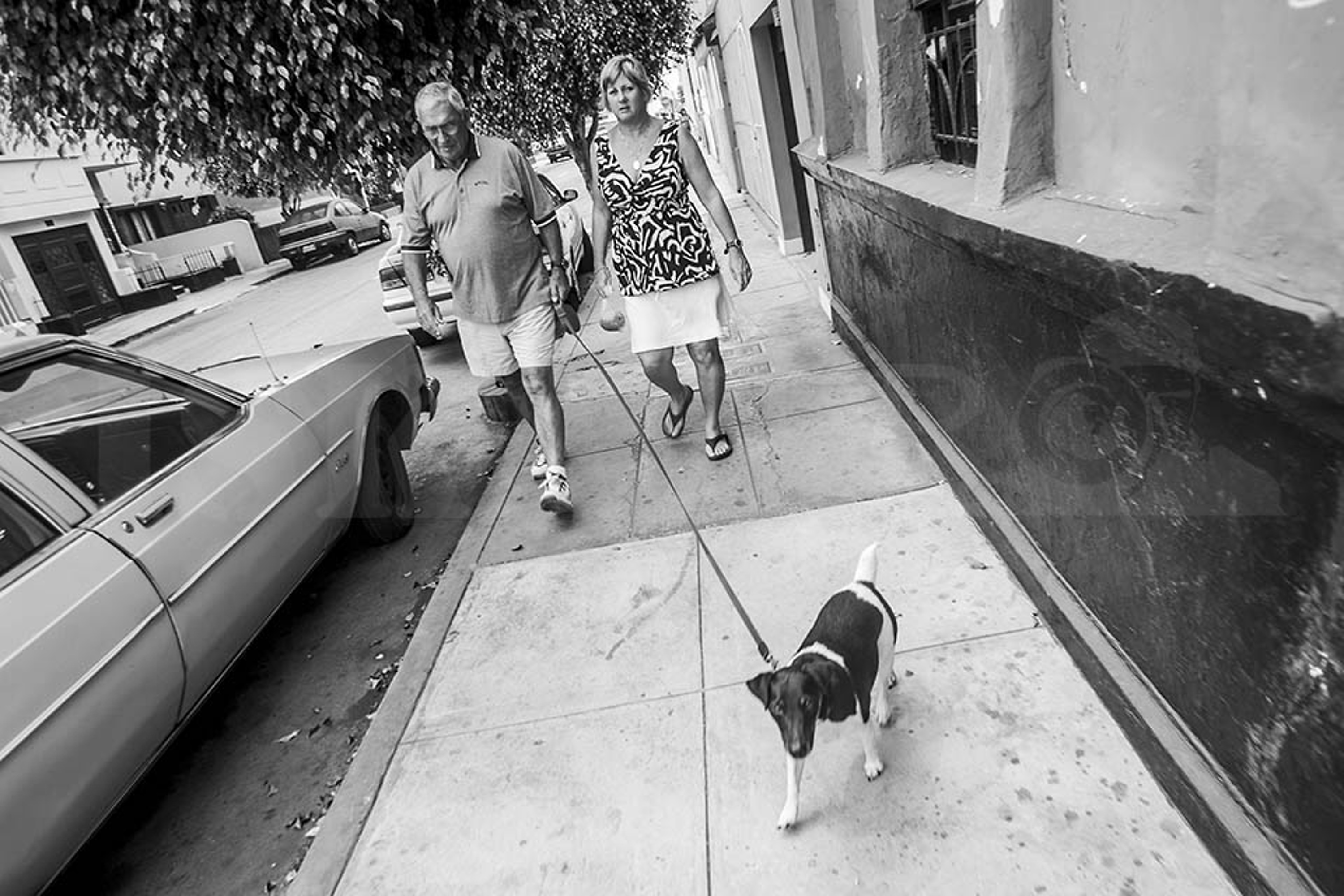 LA TERCERA EDAD 03 LA TERCERA EDAD 03