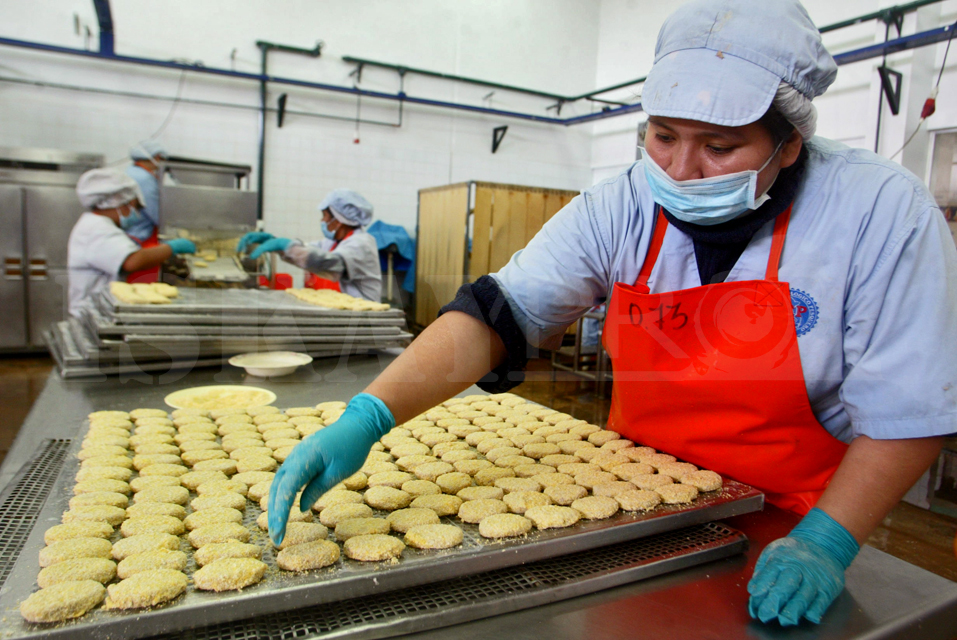 Procesamiento anchoveta 2 Procesamiento anchoveta 2